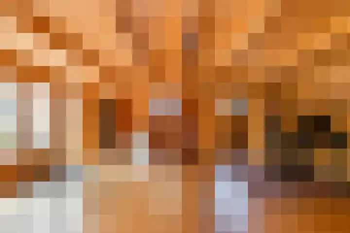 Kasteellaan 8 Well L thumbnail 51