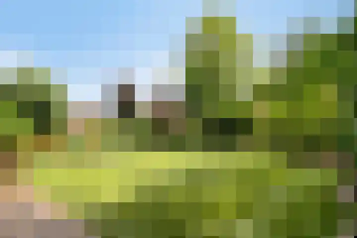 Kasteellaan 8 Well L thumbnail 55