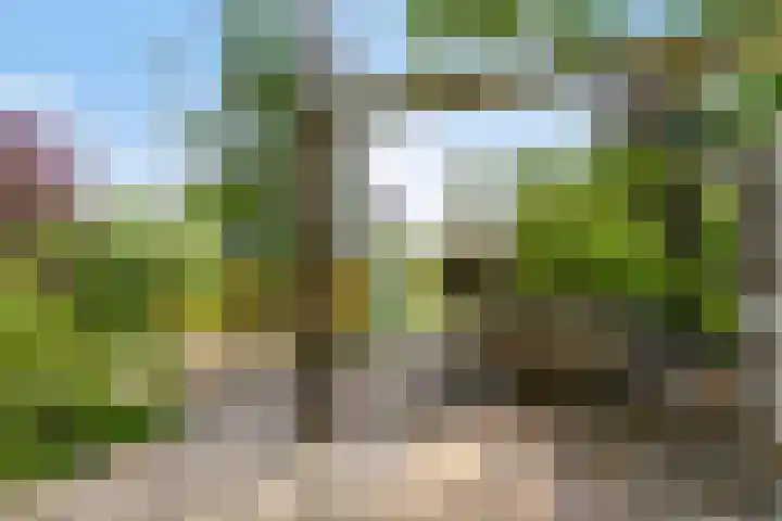 Kasteellaan 8 Well L thumbnail 61
