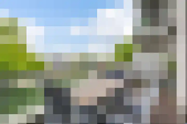 Kasteelsingel 126 Weert thumbnail 36
