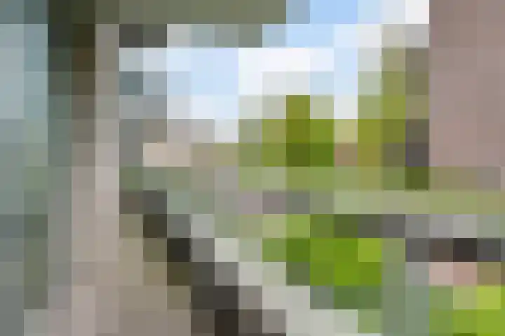 Kasteelsingel 126 Weert thumbnail 39