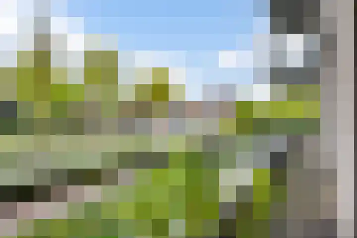 Kasteelsingel 126 Weert thumbnail 40
