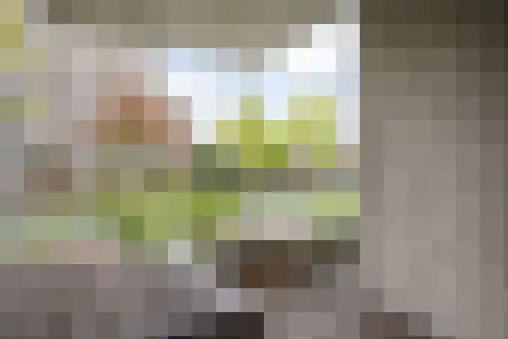 Kasteelsingel 126 Weert thumbnail 41