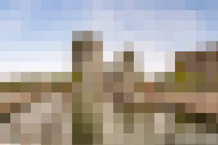 Kasteelsingel 126 Weert thumbnail 58