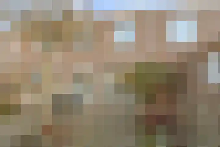 Kasteeltuin 6 Houten thumbnail 14