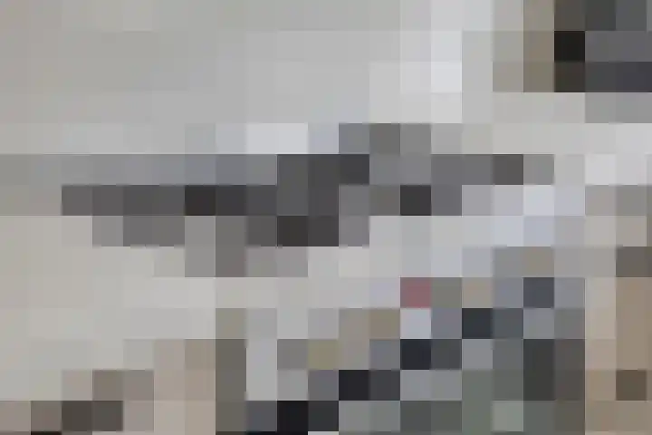 Kasteleinstraat 26 Oss thumbnail 11