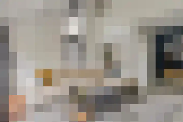 Kasteleinstraat 26 Oss thumbnail 14