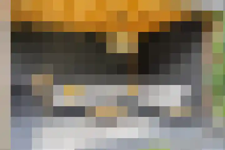 Kasteleinstraat 26 Oss thumbnail 21