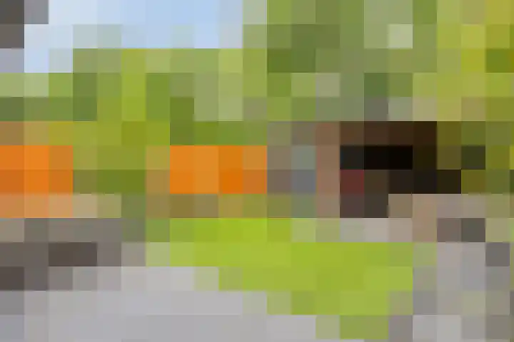 Kasteleinstraat 26 Oss thumbnail 22