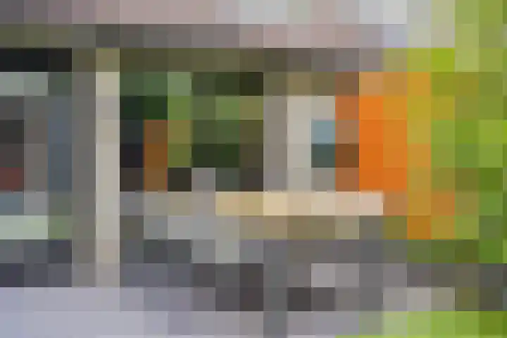 Kasteleinstraat 26 Oss thumbnail 24