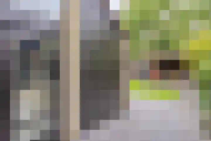 Kasteleinstraat 26 Oss thumbnail 25