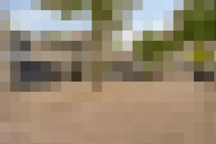 Kasteleinstraat 26 Oss thumbnail 37