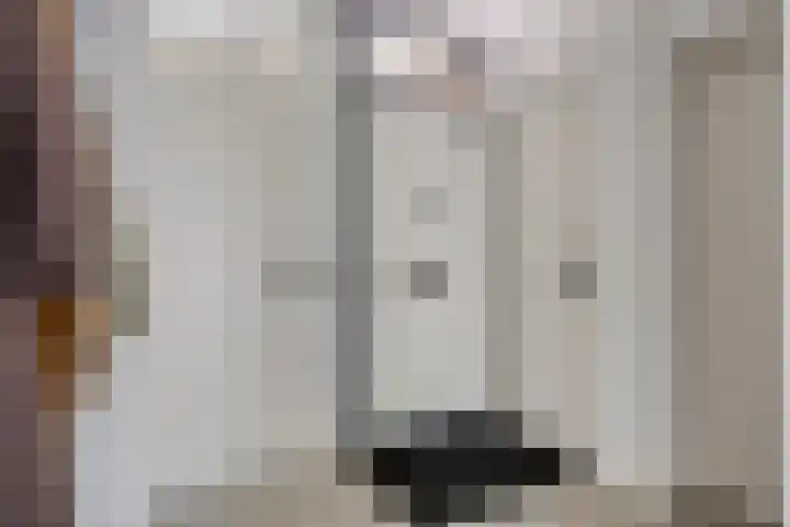 Kasteleinstraat 26 Oss thumbnail 6