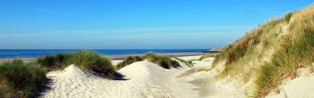 Team foto van Kater Makelaardij