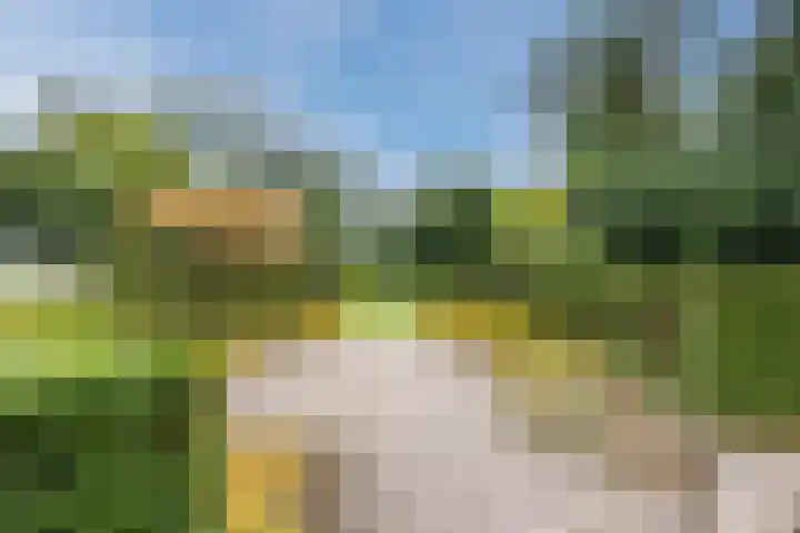 Katerstraat 8 Vessem thumbnail 14