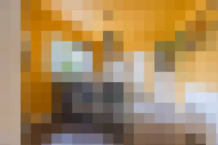 Katerstraat 8 Vessem thumbnail 22