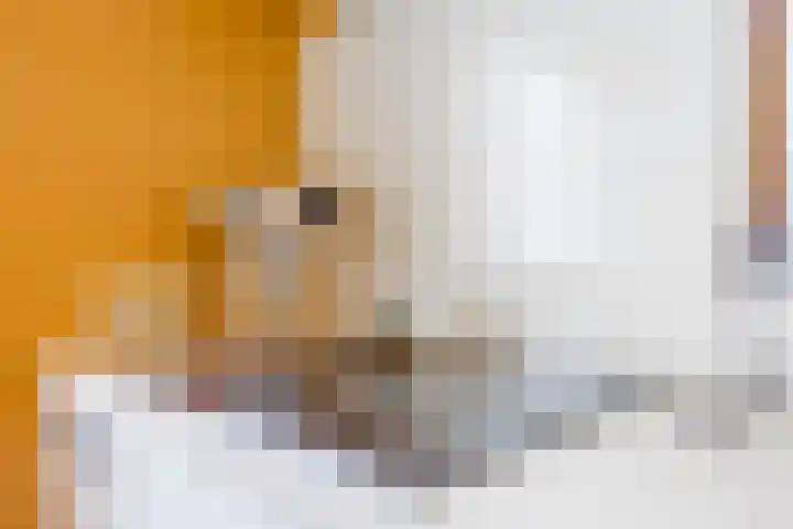 Katerstraat 8 Vessem thumbnail 23