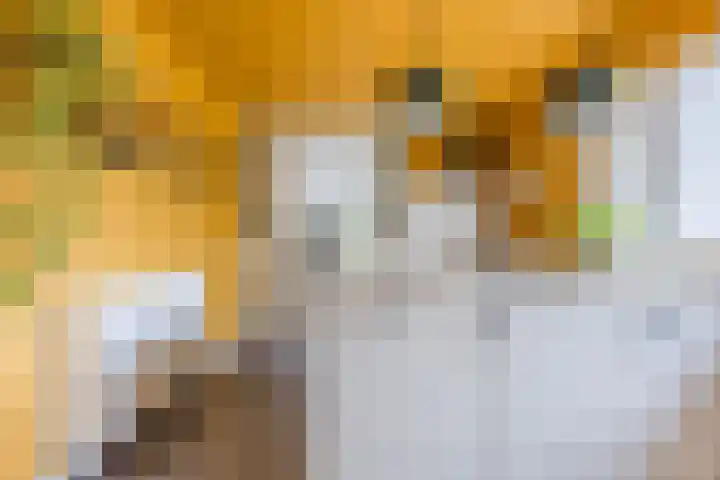 Katerstraat 8 Vessem thumbnail 24