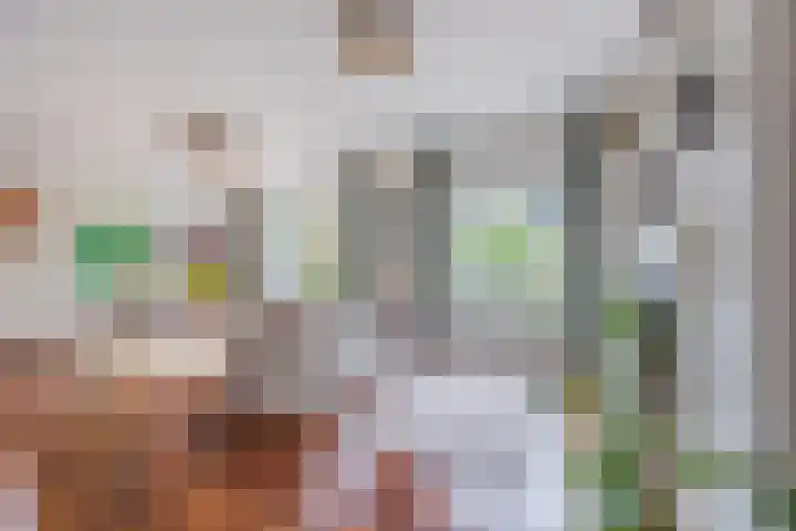 Katerstraat 8 Vessem thumbnail 25