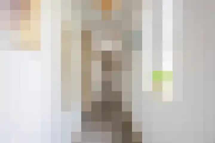 Katerstraat 8 Vessem thumbnail 28