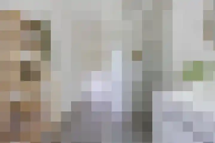 Katerstraat 8 Vessem thumbnail 40