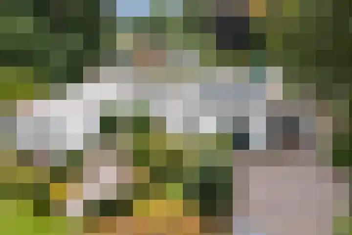 Katerstraat 8 Vessem thumbnail 45