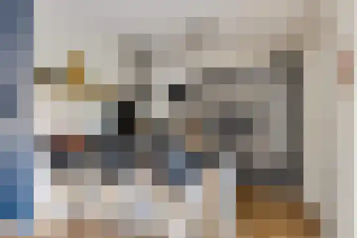 Katoenweversgilde 24 Hasselt thumbnail 20