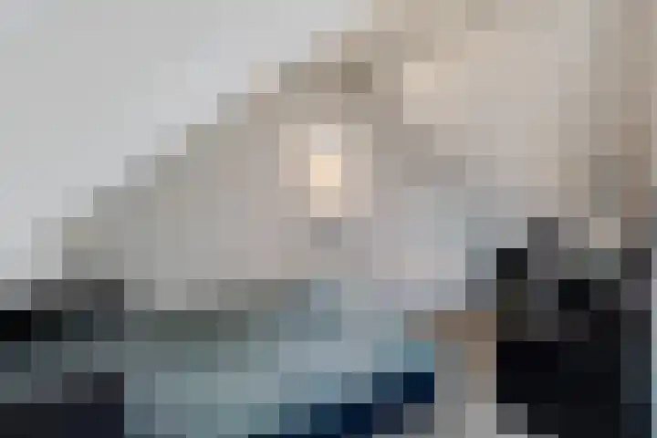Katoenweversgilde 24 Hasselt thumbnail 28