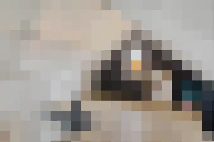 Katoenweversgilde 24 Hasselt thumbnail 34