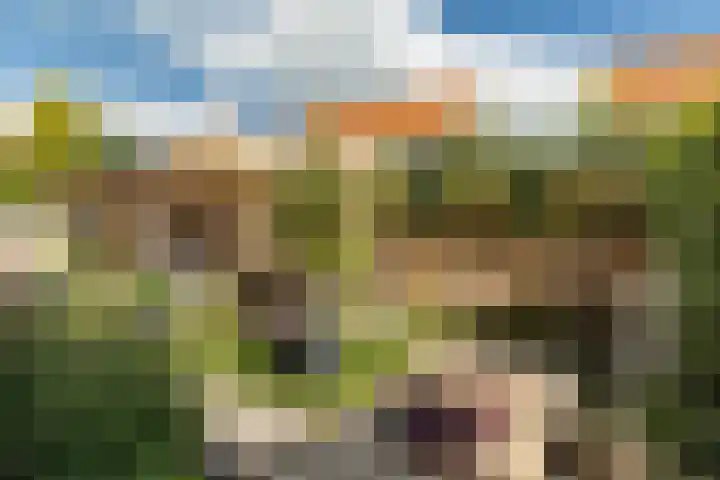 Katoenweversgilde 24 Hasselt thumbnail 41