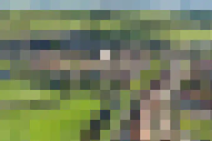 Katoenweversgilde 24 Hasselt thumbnail 6