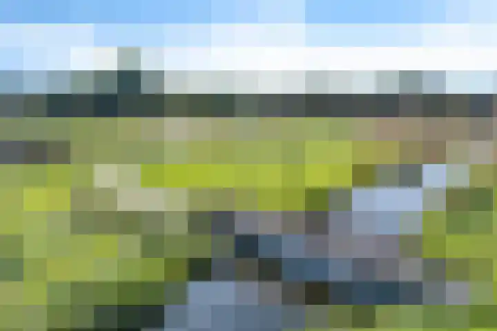 Katoenweversgilde 24 Hasselt thumbnail 7