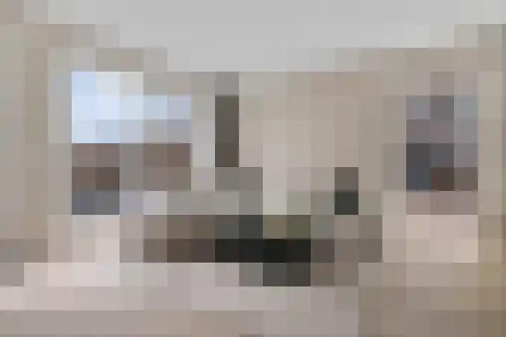 Katoenweversgilde 75 Hasselt thumbnail 15