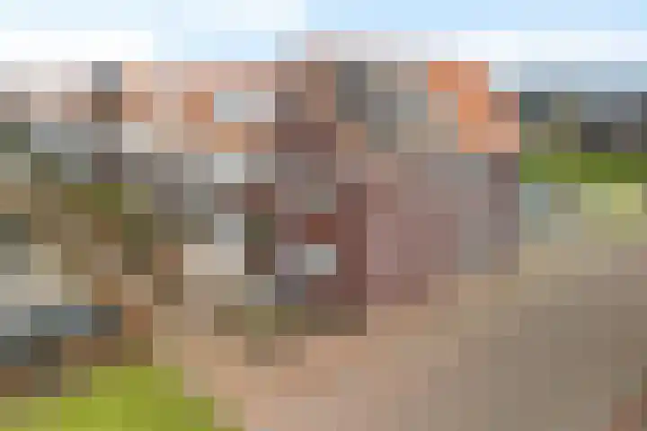 Katoenweversgilde 75 Hasselt thumbnail 6