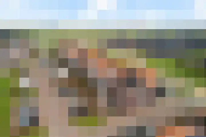 Katoenweversgilde 75 Hasselt thumbnail 9