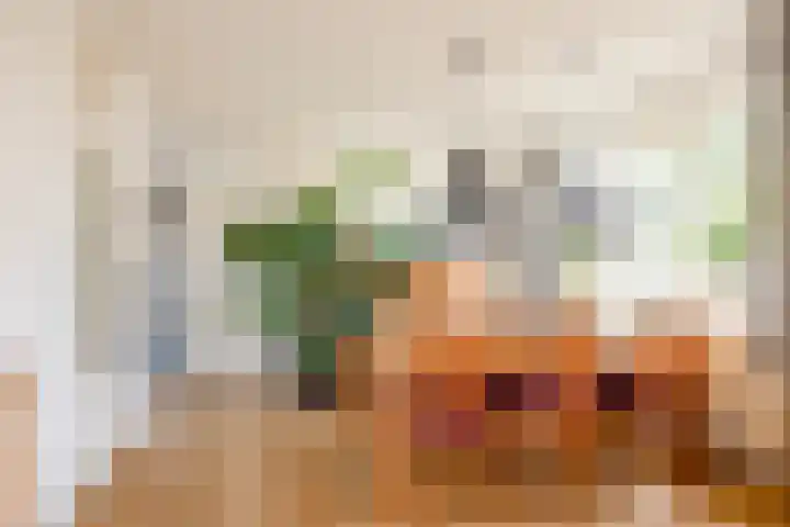 Kattedoorn 66 Cuijk thumbnail 13
