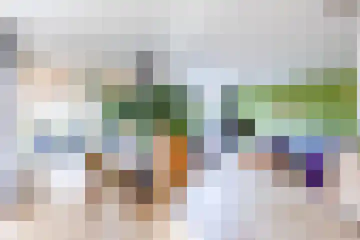 Kattedoorn 66 Cuijk thumbnail 15