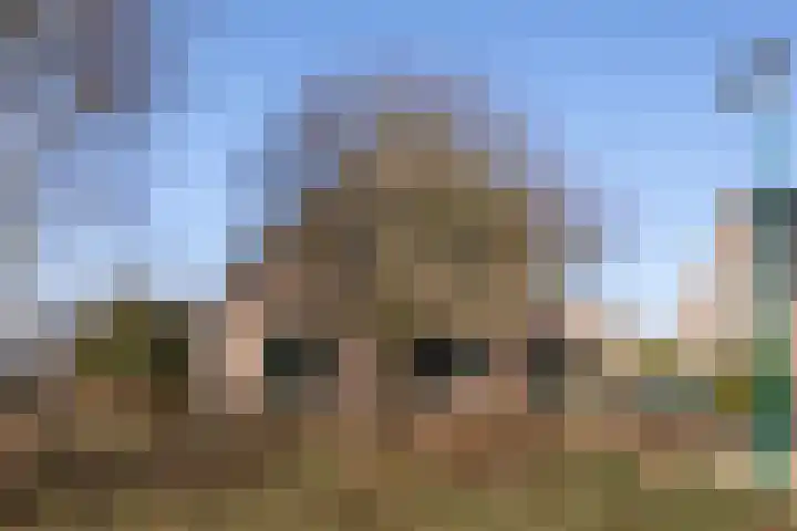 Kattedoorn 66 Cuijk thumbnail 47
