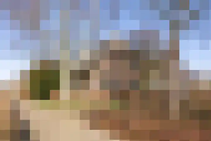 Kattedoorn 66 Cuijk thumbnail 48
