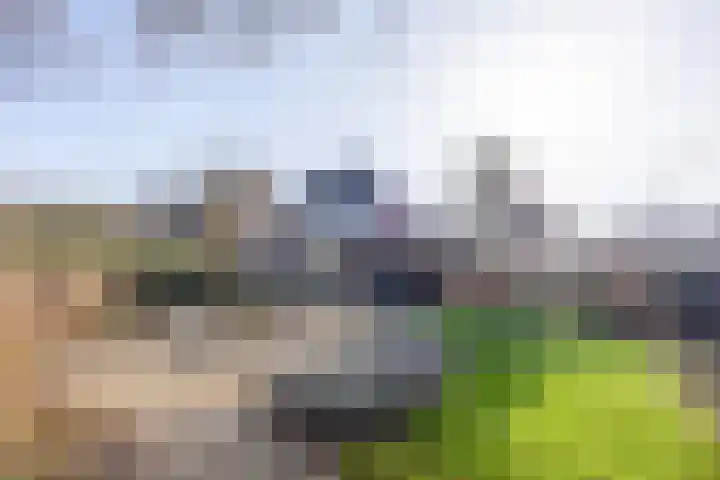 Kattedoorn 66 Cuijk thumbnail 54