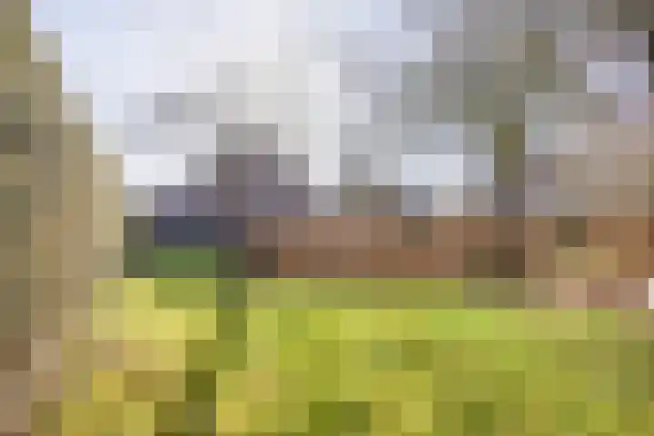 Kattedoorn 66 Cuijk thumbnail 55