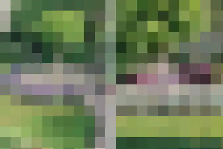 Kattedoorn 66 Cuijk thumbnail 56