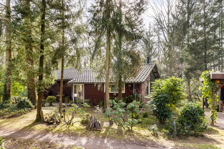 Kattenbergweg 1-61 in Winterswijk foto