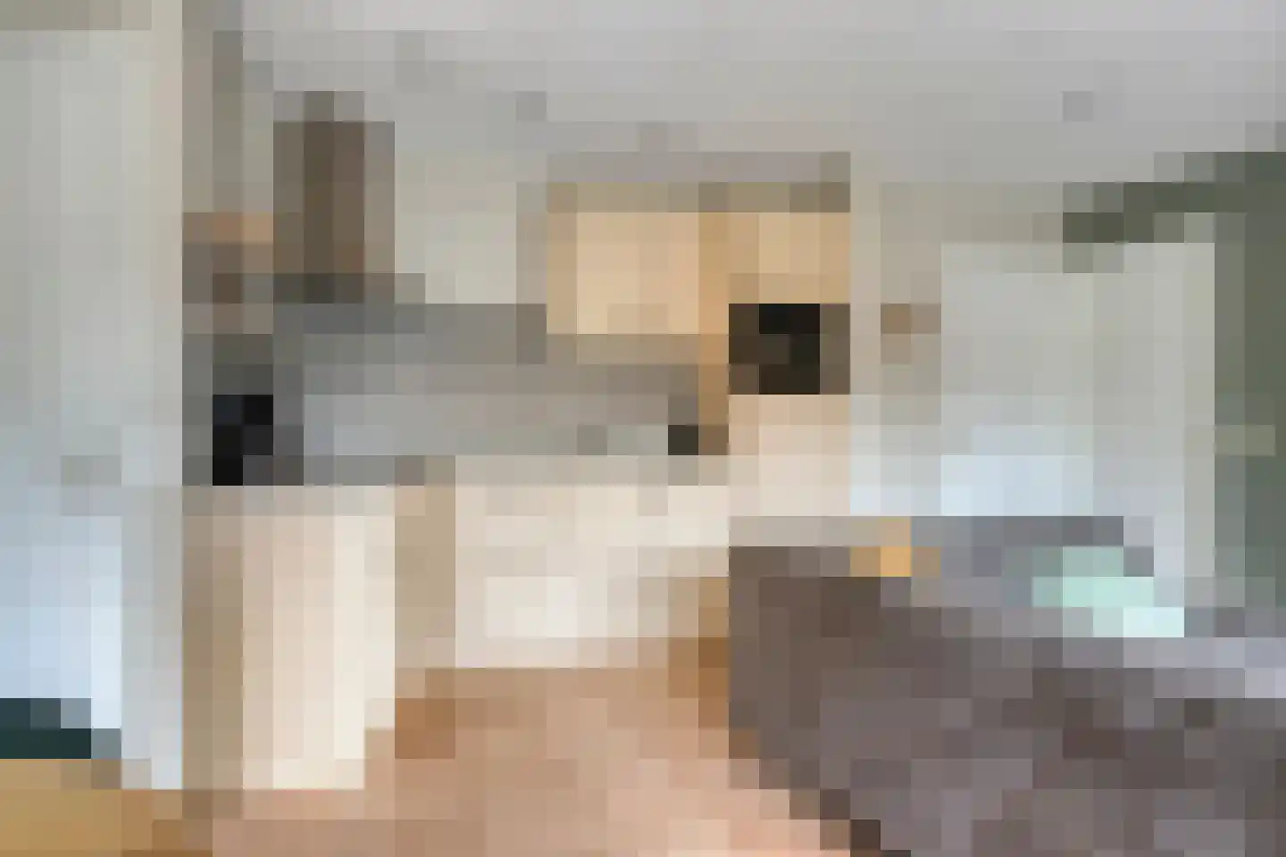 Kattenbergweg 4 d Winterswijk thumbnail 12