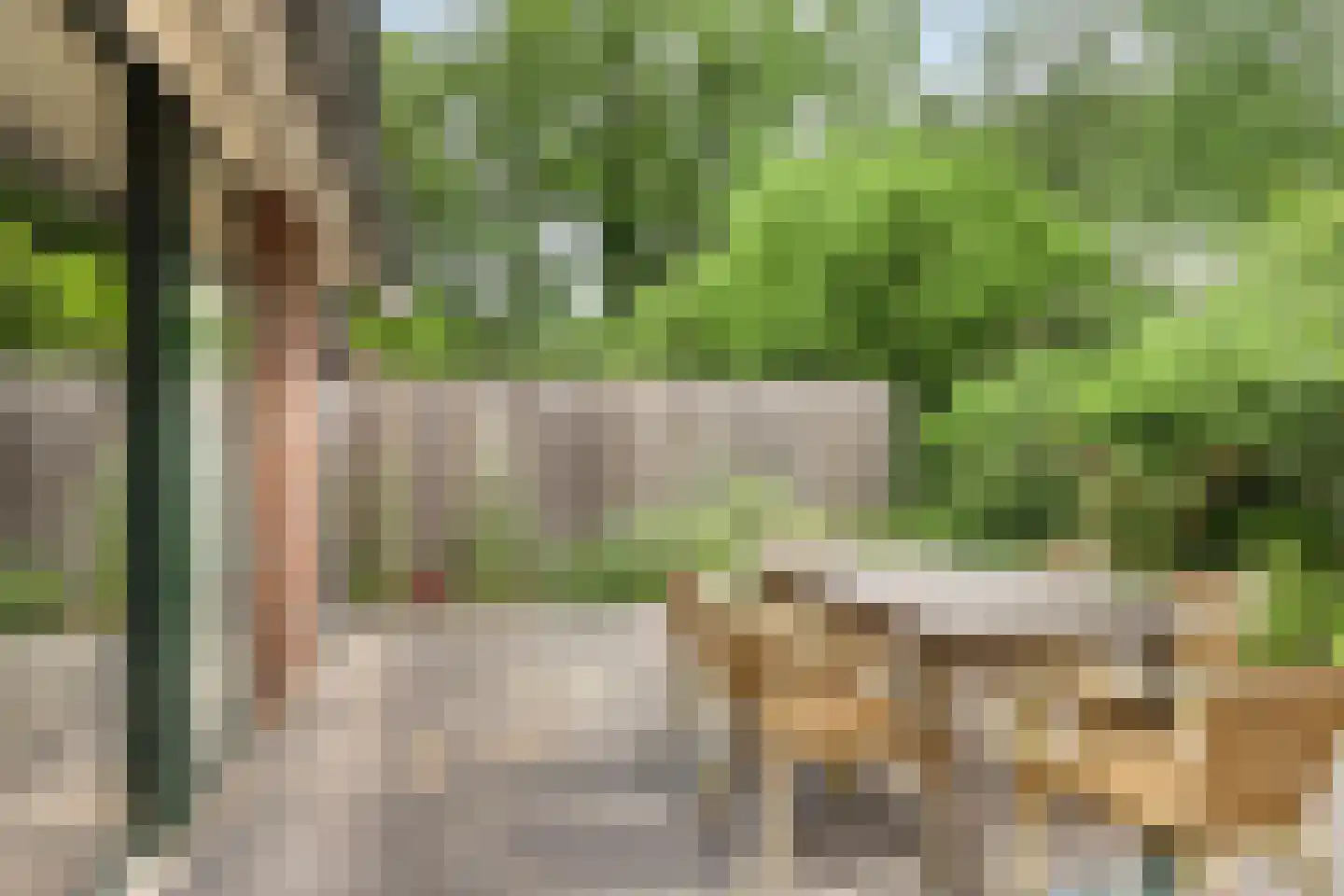 Kattenbergweg 4 d Winterswijk thumbnail 30