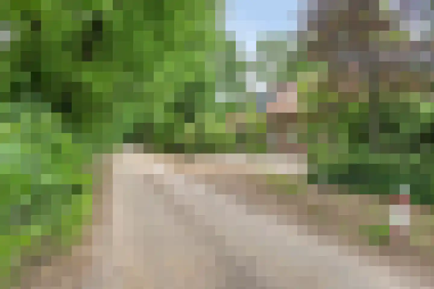 Kattenbergweg 4 d Winterswijk thumbnail 34