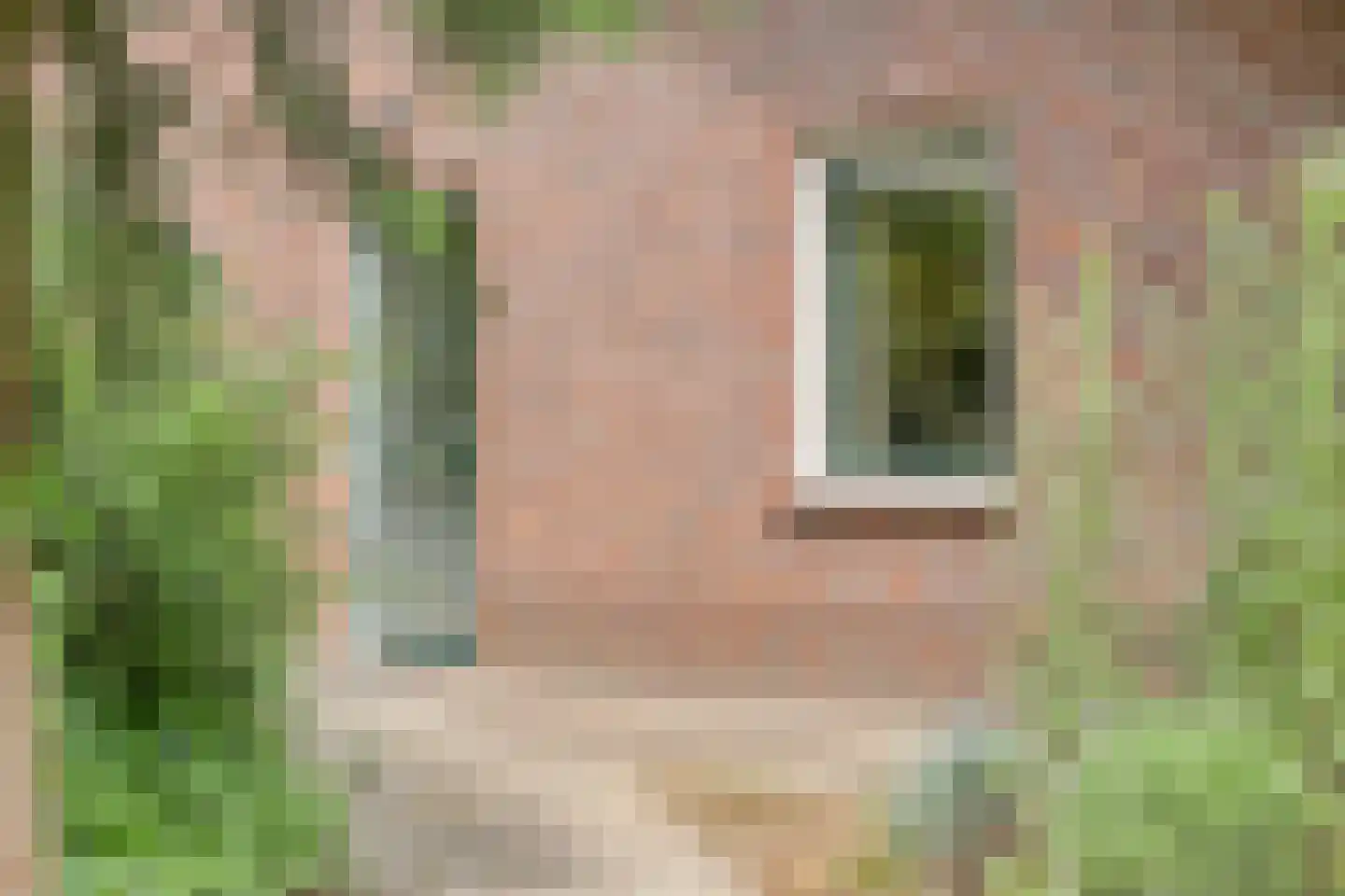 Kattenbergweg 4 d Winterswijk thumbnail 4
