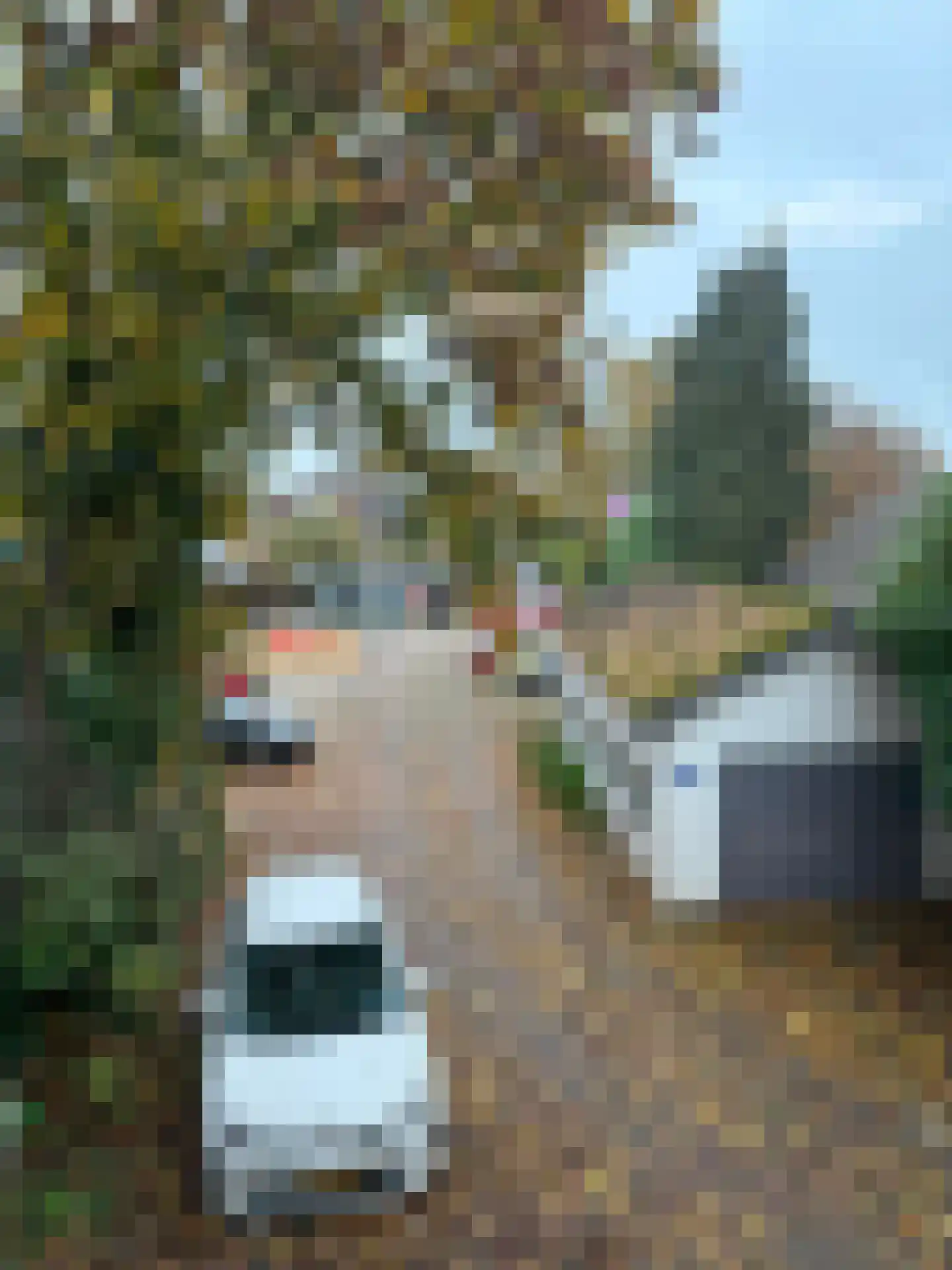 Kattenburg 31 Druten thumbnail 4