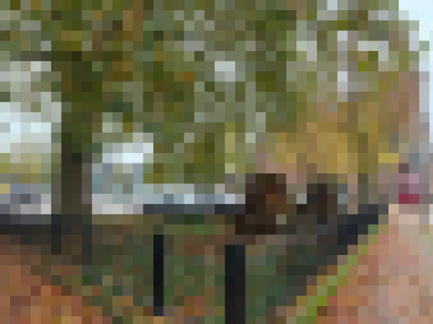 Kattenburg 31 Druten thumbnail 7