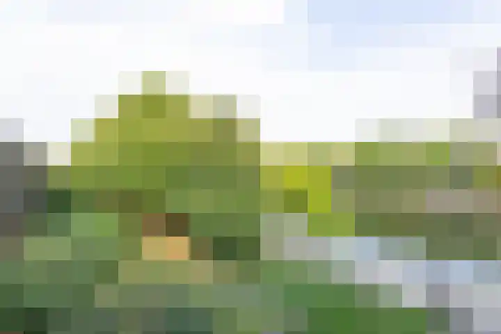 Kattenburgerhof 18 Amsterdam thumbnail 18